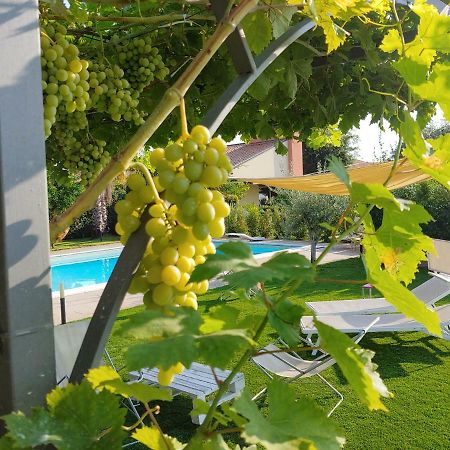 Etna Bike Holiday Дзаферана Етнеа Екстериор снимка