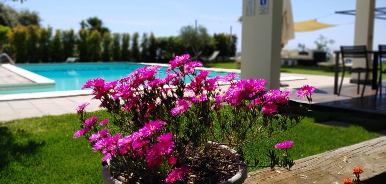 Etna Bike Holiday Дзаферана Етнеа Екстериор снимка