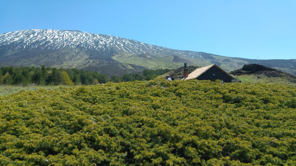 Etna Bike Holiday Дзаферана Етнеа Екстериор снимка