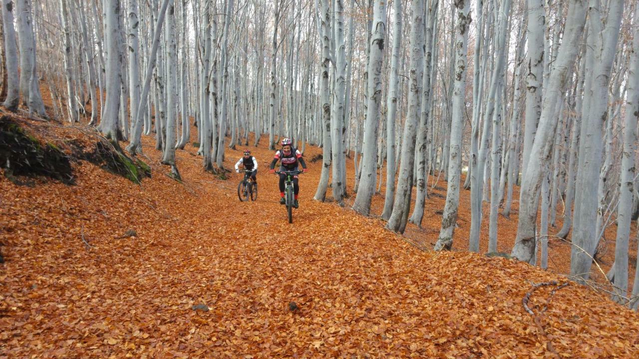 Etna Bike Holiday Дзаферана Етнеа Екстериор снимка