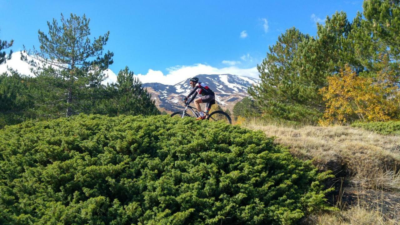 Etna Bike Holiday Дзаферана Етнеа Екстериор снимка